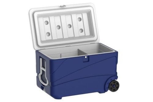 Glacière de 65 litres avec séparateur