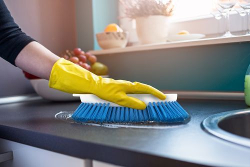 Brosse alimentaire pour plan de travail