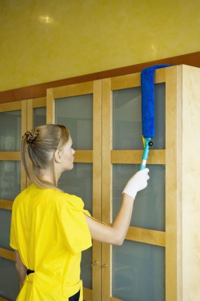 Support de dépoussiérage flexible pour mobilier